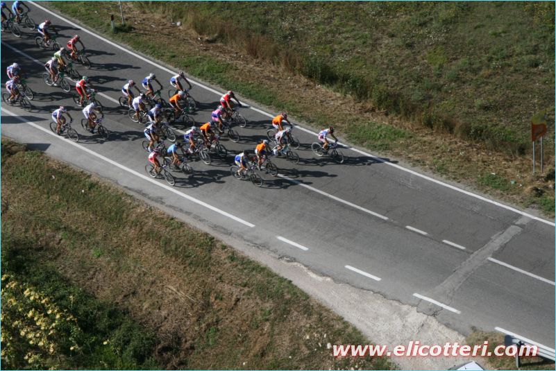 elifoto (234)